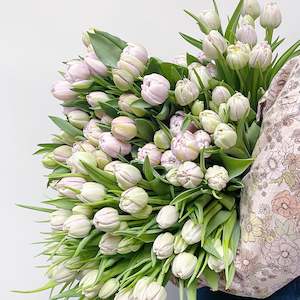 Better En Masse - Tulips