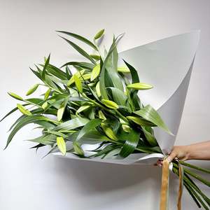 Christmas Lilies En Masse