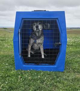 Dog Crates: MATE CRATE - Mega