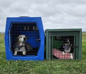 Products: Rotaplas Gift Card