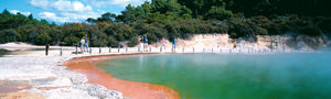 Rotorua Emerald Pass - Rotorua Super Passes - Discounts & Deals