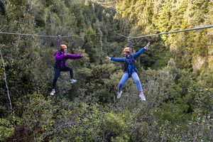 Rotorua Canopy Tours – Ultimate - Rotorua Super Passes - Discounts & Deals