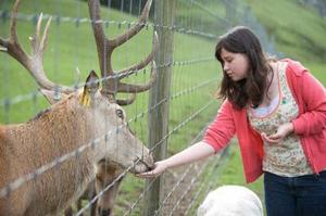 Products: Agrodome Farm Experience - Rotorua Super Passes - Discounts & Deals