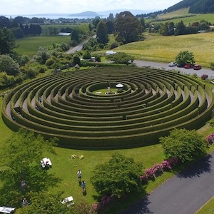 aMAZEme Hedge Maze - Rotorua Super Passes - Discounts & Deals