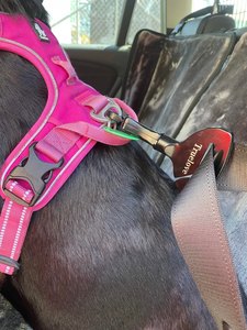 True Love Car Seatbelt Safety Belt Lock - Rottweiler Rescue