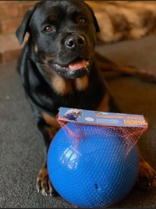 Products: Boomer Ball 200mm - Rottweiler Rescue
