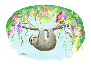 Sloth - custom illustration print HayleyElliottKernot
