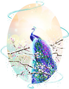 Products: Peacock - custom illustration print HayleyElliottKernot