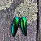 Scarab beetle wing earrings