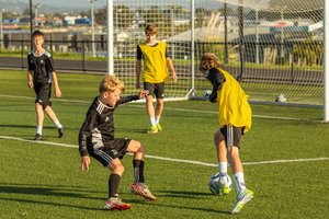 Foundation - Roy D: Performance Coaching