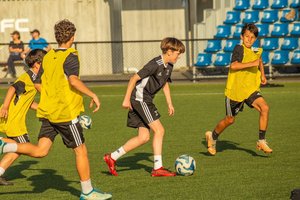 Advanced - Roy D: Performance Coaching