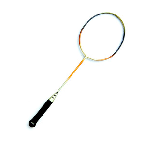Accessories: RSL Mini Racket (28cm)