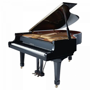 Products: Grand Piano - Rubbish Pickup
