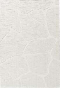 Luxurious Textured Modern Design Masai Rug Size: 80 x 150cm (14067-6191)