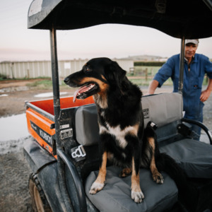 Quads Atvs: Seat Covers to suit Polaris Ranger 570SP 2022+ ATV