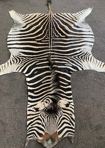Real Zebra Skin Hide Rug (Premium Quality A Grade)