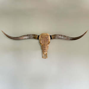 Products: Authentic Beige Longhorn Hand Carved Skull