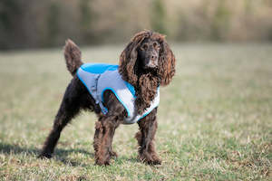 Hugo Hudson Range: HUGO & HUDSON Cooling Vest - BLUE