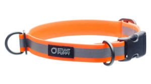 Stunt Puppy Range: STUNT PUPPY Dry Collar - GLO ORANGE