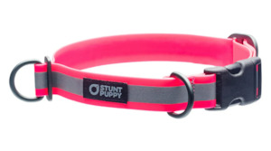 Stunt Puppy Range: STUNT PUPPY Dry Collar - GLO PINK