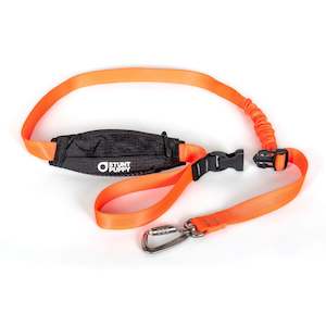 STUNT PUPPY Scout Lead with Carabina clip - Orange