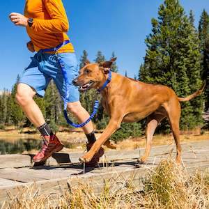 Stunt Puppy Range: STUNT PUPPY Hands Free Leash
