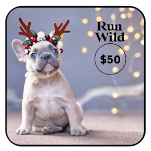 Dog Toys Accessories: Christmas Run Wild Gift Card