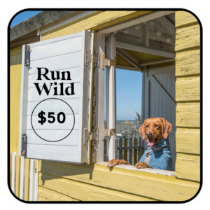 Dog Toys Accessories: Run Wild Gift Card