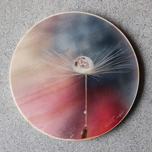 Photography by Roxanne – Butterfly in Water Droplet – Rustic Printz Limited