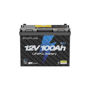 Deep Cycle Batteries: Ecoflow 100AH Lithium deep Cycle Battery