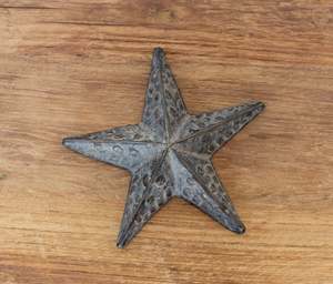 Homewares Objects: Bronze Starfish