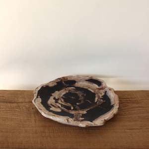 Petrified Wood Plate No.2