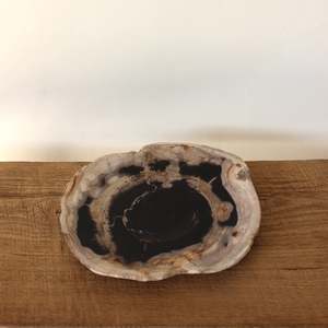 Petrified Wood Plate No.3