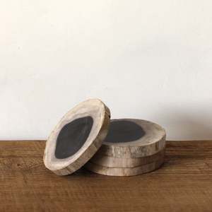 Petrified Wood Coasters