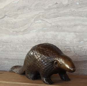 Bronze Pangolin