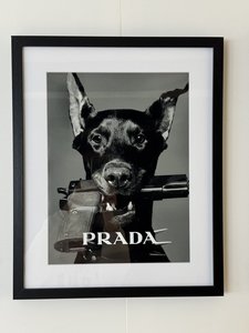 doberman dog with gun prada print Sachii