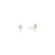 Earrings-Empowerment post earring Sachii