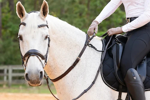 Products: Correct Connect Double Neckstrap Saddle4You2023