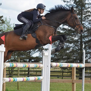 Products: Scharf Freedom Jump Girth Saddle4You2023