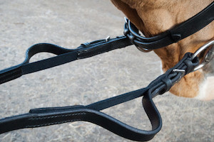 Carl Hester Fantastic Elastic Reins Saddle4You2023