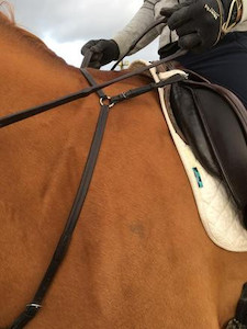 Products: Jefferies Gentle Neck Strap Saddle4You2023