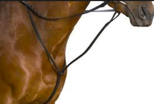 Platinum Standing Martingale