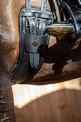 Girths Fountain City Saddlery: Le Mieux GelTek Anatomic Dressage Girth