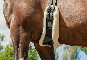 Saddle Accessories Fountain City Saddlery: Le Mieux Anatomic Dressage Girth Sleeve