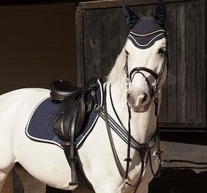 Saddle Pads & Numnahs Fountain City Saddlery: Le Mieux CC Jump with Binding