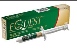 Equest Plus Tape