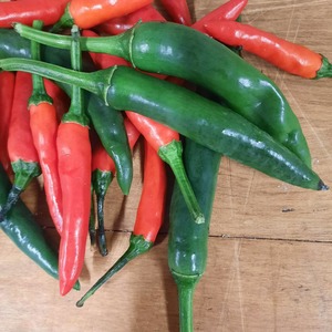Cullinary herbs: Chilli (Cayenne)