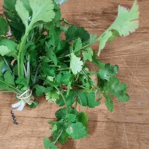 Products: Coriander