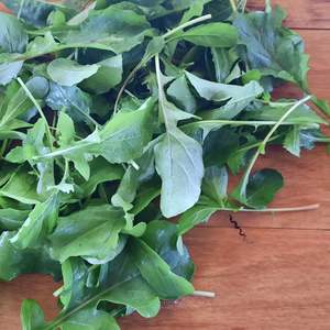 Rocket 90g (spray free)