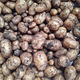 Potatoes (spray free)